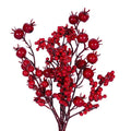 Red Berry Spray