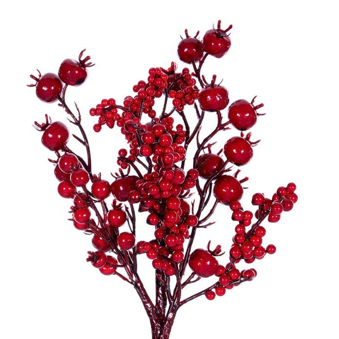 Red Berry Spray