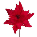 XL Red Velvet Poinsettia