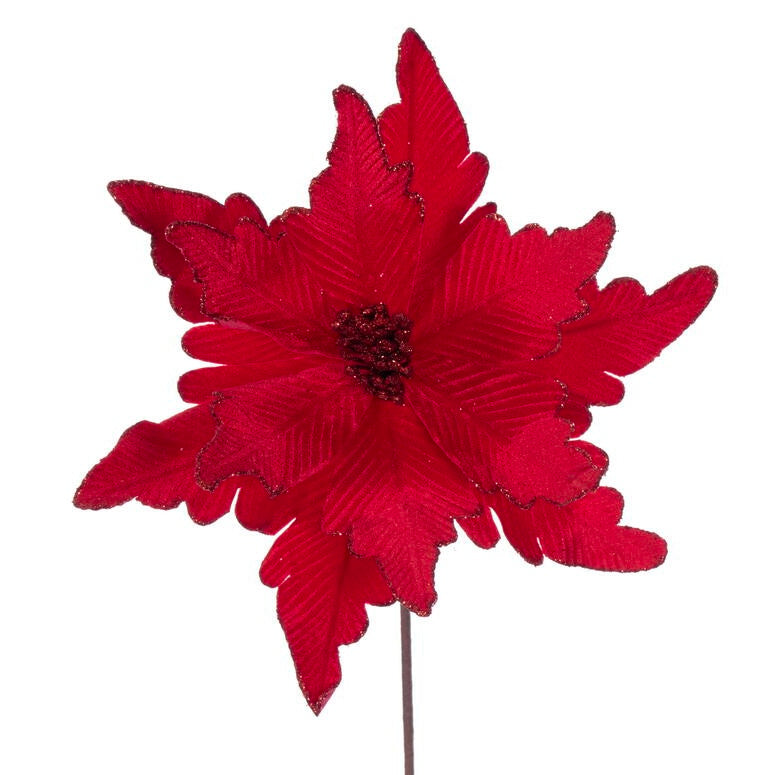 XL Red Velvet Poinsettia