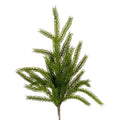 Norfolk Pine Spray