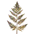 Mardi Gras Glitter Fern Spray