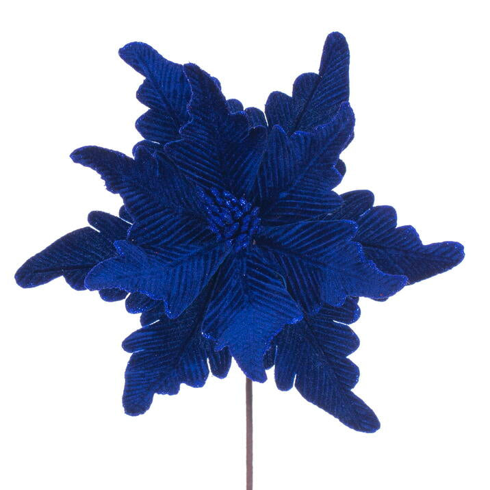 Blue Velvet Poinsettia