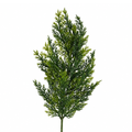 Soft Cedar Spray